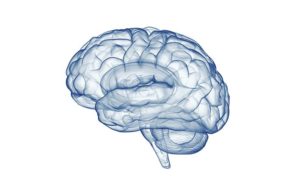 Firma slimpack oferuje catering dietetyczny nareszcie dostępny dla każdego, kto szuka prostego sposobu na zdrowe życie. Catering z dostawą